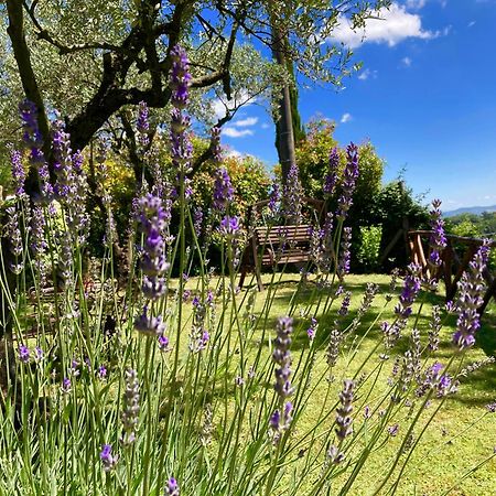 Grove Cottage: Immersed In Nature & Close To Town Città della Pieve Kültér fotó